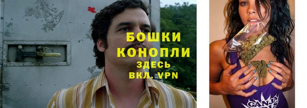 apvp Семёнов