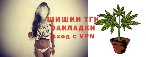 сатива Баксан