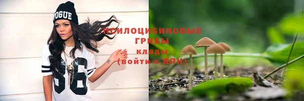 сатива Баксан