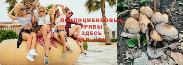сатива Баксан